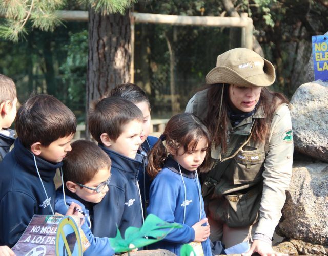 2° Básicos visitan el Buin Zoo