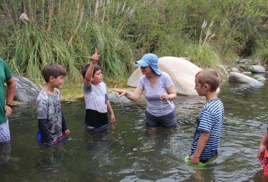 Expedición Río Clarillo 3° Básico