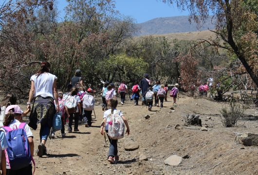 Expedición Kinder